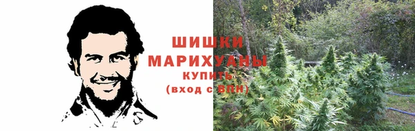 ПСИЛОЦИБИНОВЫЕ ГРИБЫ Иннополис