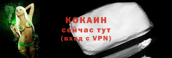 ПСИЛОЦИБИНОВЫЕ ГРИБЫ Иннополис
