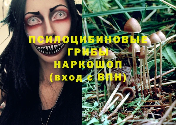 ПСИЛОЦИБИНОВЫЕ ГРИБЫ Иннополис