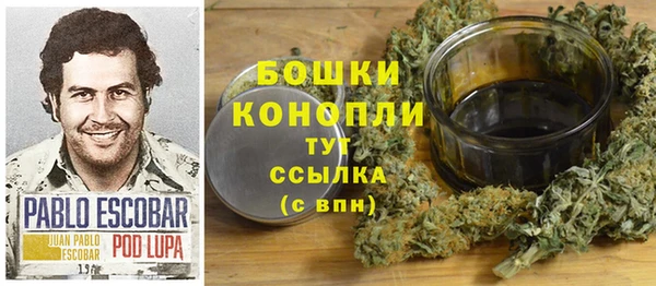 амф Инсар