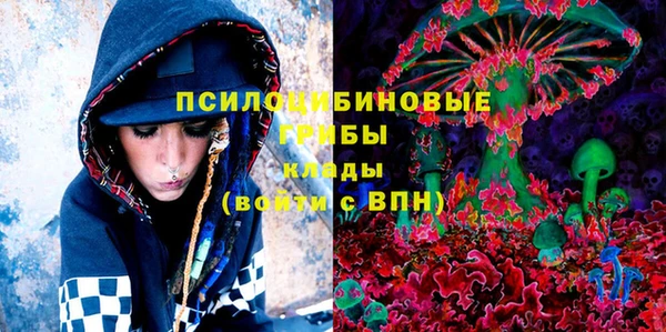ПСИЛОЦИБИНОВЫЕ ГРИБЫ Иннополис