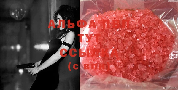 амф Инсар