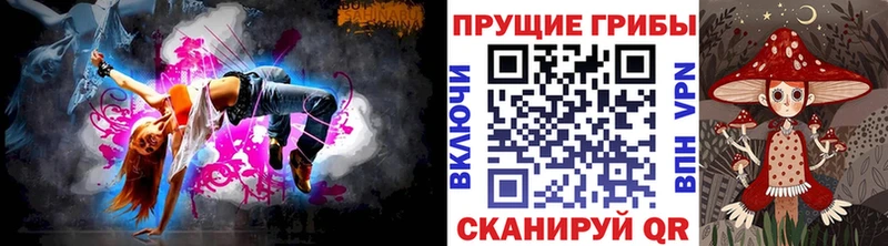 Купить где  Починок  Галлюциногенные грибы Psilocybine cubensis 